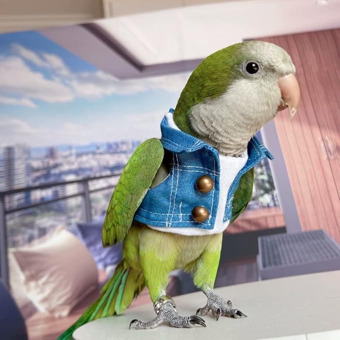 Bird Costume Bird Diaper Flight Suit Bird Jeans Fake Two Pieces Bird Clothes Cosplay Photo Prop for Parrots Lovebird Parakeet Cockatiel Small Animals Apparel (with Diaper,Senegal)