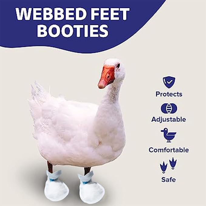MANON ROSA Duck Shoes for Real Ducks Chickens 6-Pair Waterproof & Disposable Booties with Self-Adhesive Bandage for Waterfowl Wound Foot Care Bumblefoot (Dustproof Version,Medium)