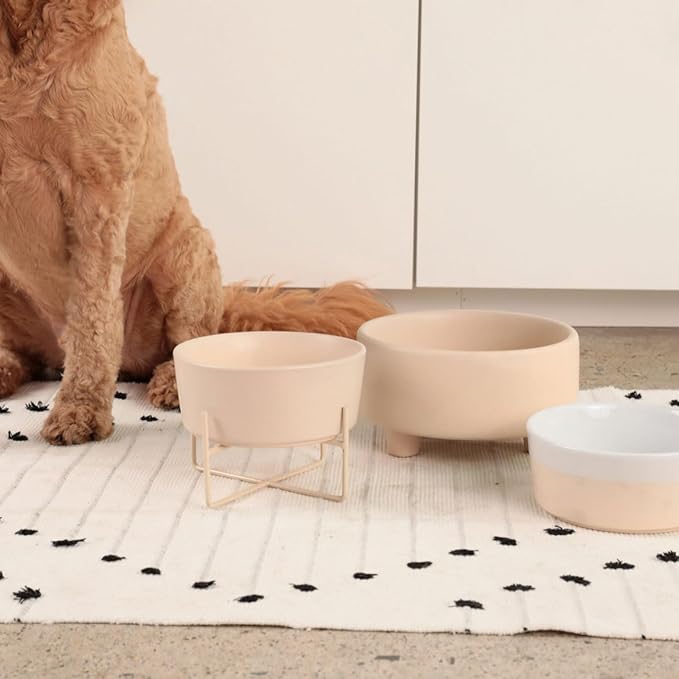 Waggo Simple Solid Dog Bowl and Dog Bowl Stand - Single Iron Stand with Single Ceramic Feeder or Water Bowl (Small, Matte Buttercream)