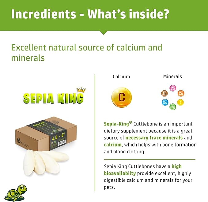Sepia King - Medium - 100% Natural Calcium Supplement - Premium Cuttlebone Perfect for Birds, Tortoises, Snails, Reptiles - 12 Pack