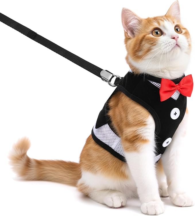 Cat Harness Leash Set for Walking Soft Adjustable Cats Vest Harnesses Escape Proof Comfortable Breathable Mesh Kitten Anti-Escape Leash Chest Harness Easy to Wear for Outdoor Travel