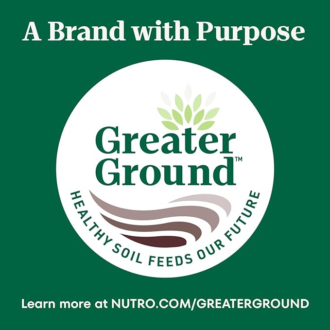 Nutro Crunchy Dog Treats with Real Peanut Butter, Training Treats for Dogs, 10 oz. Bag