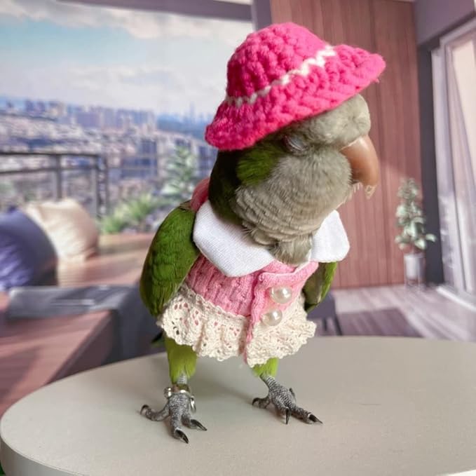 Bird Costume Bird Diaper Flight Suit Bird Pink Top Bird Clothes Cosplay Photo Prop for Parrots Lovebird Parakeet Cockatiel Small Animals Apparel (Caique)