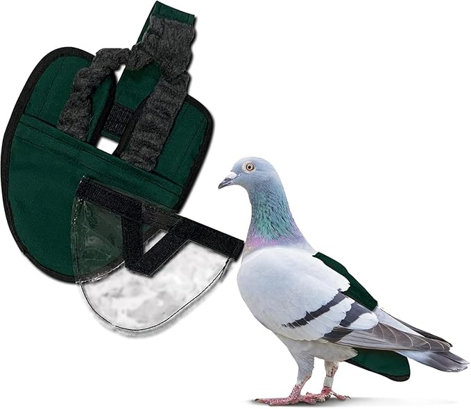 Hen Holster Starter Kit - Wrap-Around Duck Diaper w/Removable Liner & Fixed Tab - Durable, Secure Fit, Easy-to-Wear - Essential Duck Supplies for Real Ducks, Made in USA - Green, XS