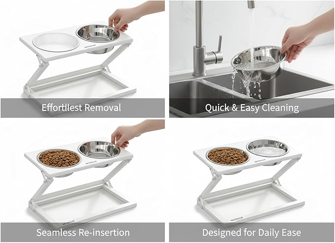 Elevated Dog Bowls, Adjustable Raised Dog Bowl Stand with 2 Stainless Steel Food Bowls 20°Tilted Water Bowls for Small Sized Dogs and Cats (White, Small)