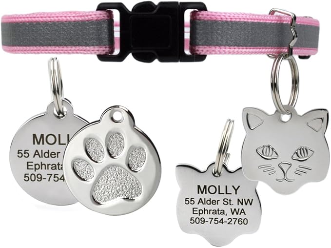 GoTags Reflective Cat Collar with Personalized ID Tag in Stainless Steel, Breakaway Cat Collar with Bell and Custom Engraved Cat Tag with up to 4 Lines of Custom Text, (Pink)