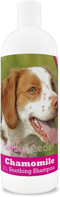 Healthy Breeds Brittany Chamomile Soothing Dog Shampoo 8 oz