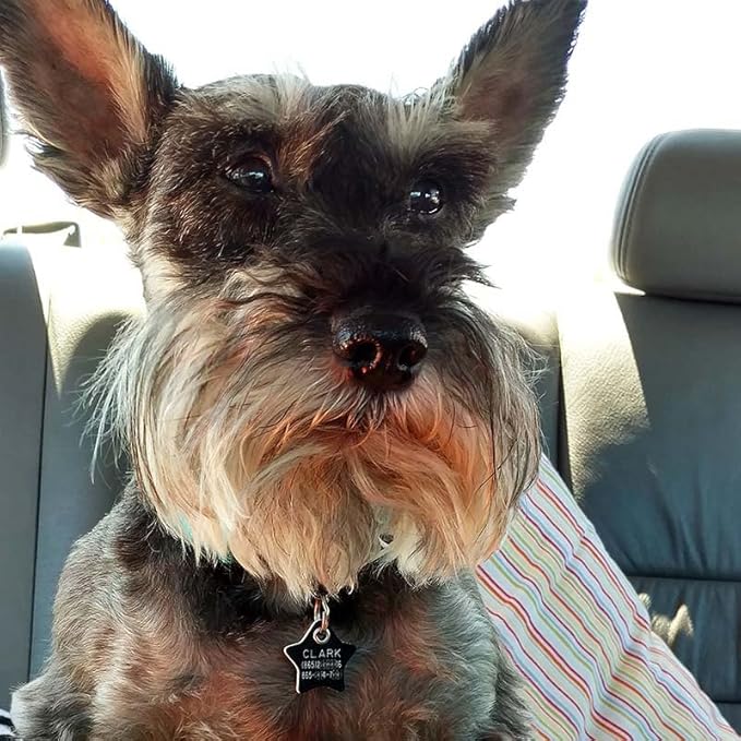 LuckyPet Plastic Pet ID Tags - Dog Personalized IDs - Durable Engraved Name Noiseless Tag - Suitable for Dogs and Cats - Outlasts Most Aluminum Tags - Small, Black Star