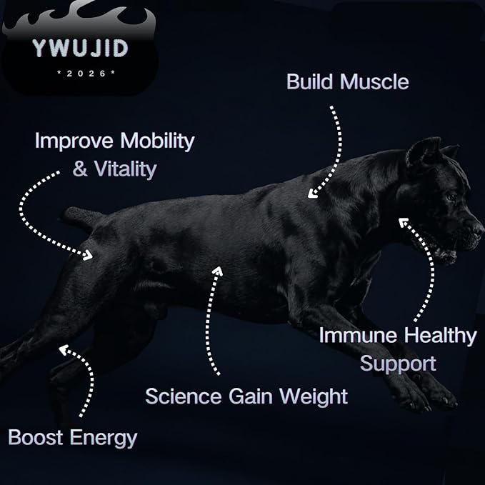Muscle Gain Chews Dog Weight Gainer Supplements with High Protein & Canine Amino Acids Puppy Vitamins Canine Muscle Builder Formula for Bully & All Breeds Puppies & Adult & Senior Dogs-100 Count