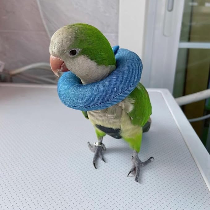Parrot Neck Collar Pet Anti-bite Picking Feather Healing Protective Neck Cover Collar for Birds Conures Cockatiels Lovebirds Budgies Cockatoos African Grey Random Color (2M)