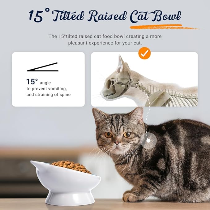 Raised Cat Food Bowl Ceramic 15° Tilted Cat Food Bowls Protect Cat's Spine Anti Vomiting Backflow Prevention for Adult, Kitten, and Small Dogs (Pink)