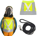 Bird Diaper Harness Flight Suit Clothes, Parrot Flight Suit with Leash Reusable Bird Flying Clothes for Parrots Cockatiel Pet Birds
