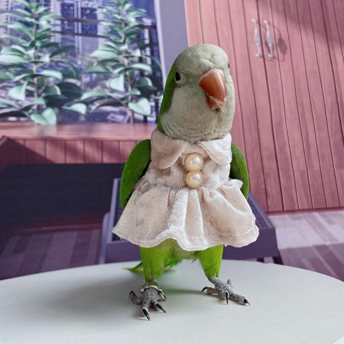 Bird Costume Bird Diaper Flight Suit Parrot Velvet Fleece Skirt Clothes Cosplay Photo Prop for Conure Lovebird Parakeet Cockatiel Macaw Small Animals Apparel (Pink,Large)
