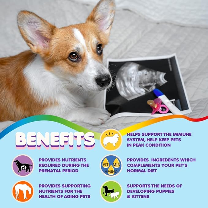 Dog Prenatal Vitamins – Multivitamin, Folic Acid, Calcium, Iron, Minerals and Amino Acids. Ideal for Pregnant, Breastfeeding and Newborn Pets – Senior Dog Supplement, Complete Puppy Multi Vitamin.