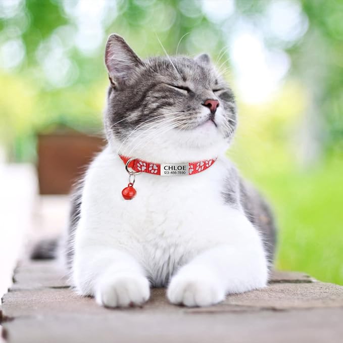 TagME 2 Pack Cat Collar with Name Tag, Personalized Reflective Cat Collar Breakaway with Bell for Boy & Girl Cats, Red