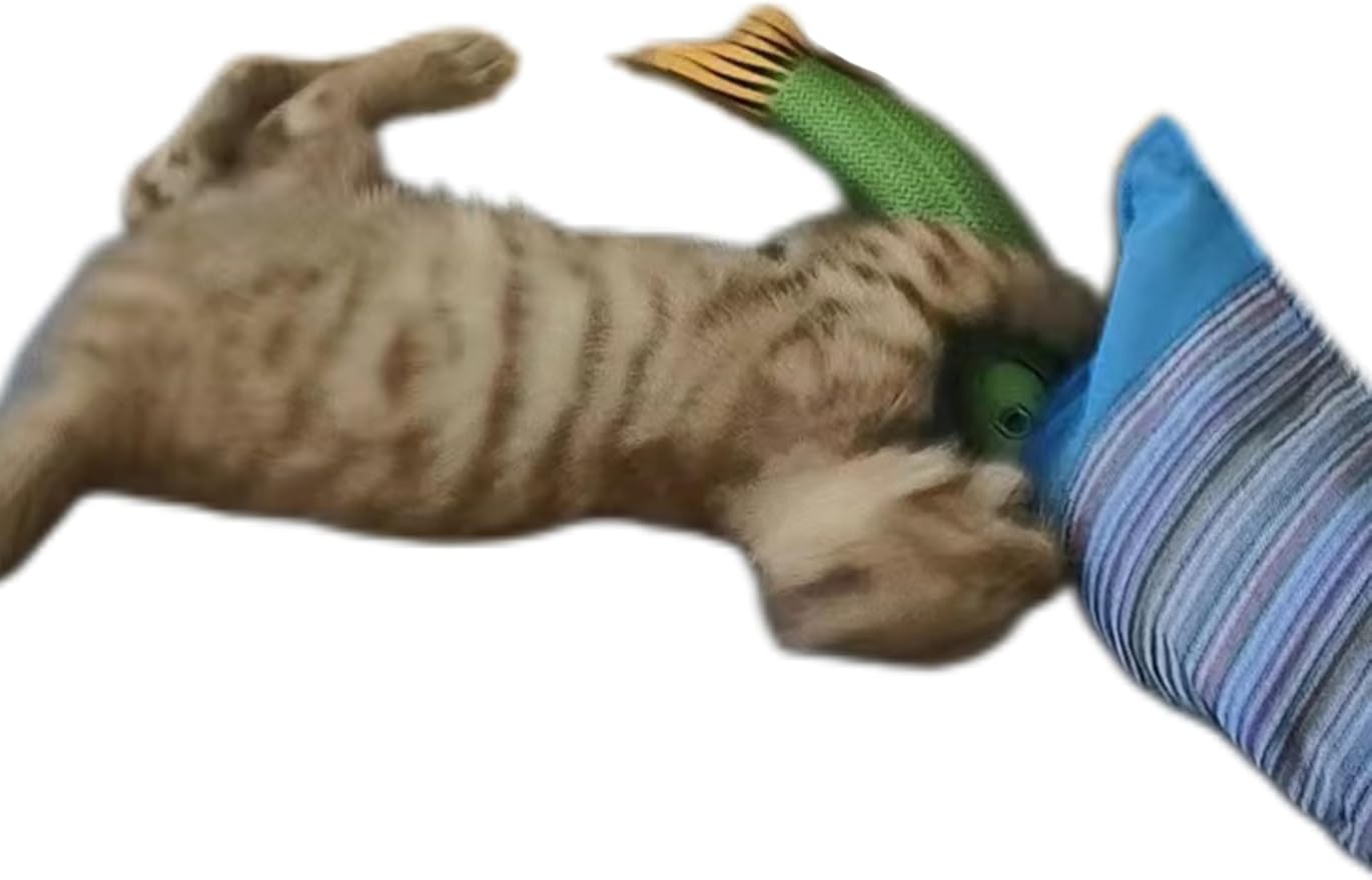 Cat Toys Saury Fish, 3 Pack, Catnip Crinkle Sound, Soft and Durable, Interactive Kitten Kicker for Indoor Kitty Exercise 9.4 Inches for All Breeds