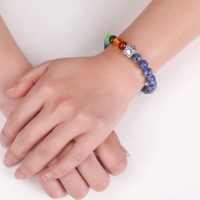 Pet Memorial Gifts, Rainbow Bridge Bracelet for Beloved Dog Cat, 8MM Mixed Color Bead 7 Chakra Memorial Bracelet for Women Men Who Lost Pets, Pet Sympathy Gift