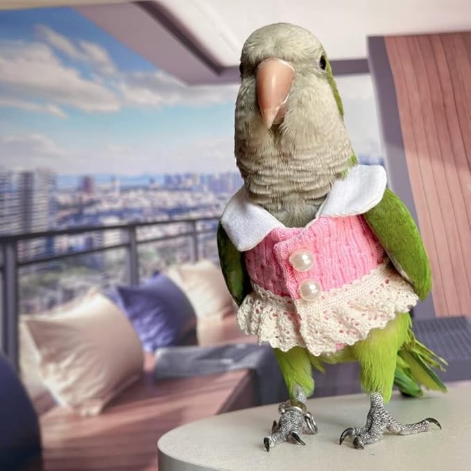 Hahn's Macaw Bird Diaper Flight Suit - Pink Top Cosplay Photo Prop for Parrots, Lovebirds, Parakeets, Cockatiels & Small Animals