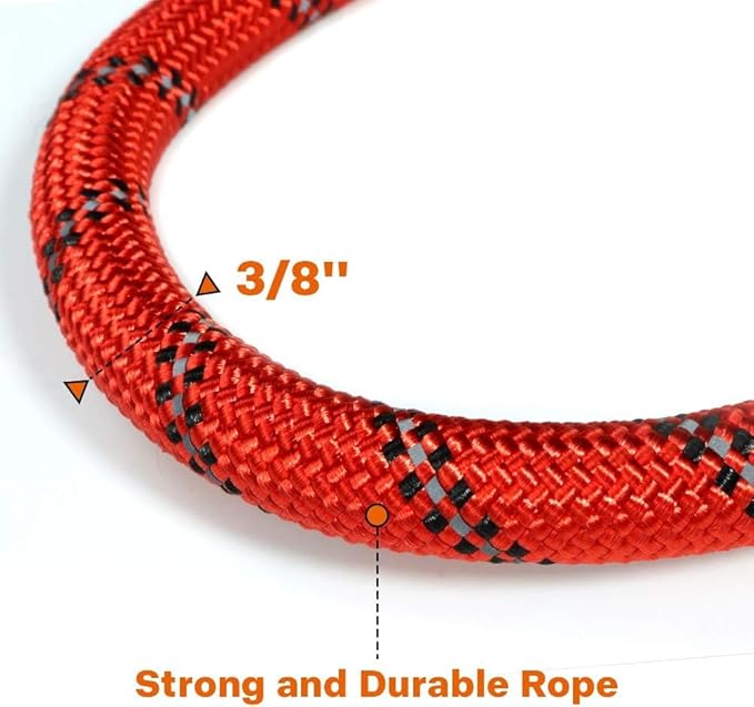 Taglory Rope Dog Leash 6 FT with Comfortable Padded Handle, Highly Reflective Threads Leash and Anti-Tangle Clip for Walking Small Dogs, 3/8 inch, Red