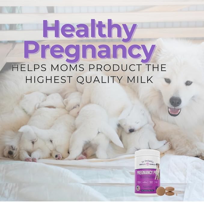 Dr Orchards Pregnancy Pro Dog Prenatal Vitamins - Premium Dog Supplement for Pregnancy, Prenatal + Postnatal, Lactation and Newborn Health Support, 90 Ct