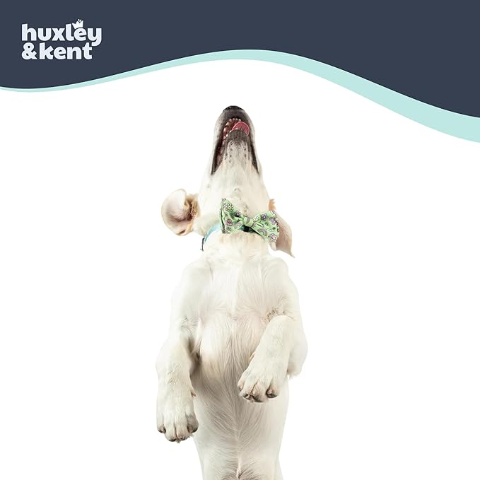Huxley & Kent Pet Bow Tie for Dogs & Cats - Spring Theme Adjustable Hook & Loop Collar Accessory - Cute & Comfortable for Holidays & Celebrations - Everything Spring, Small