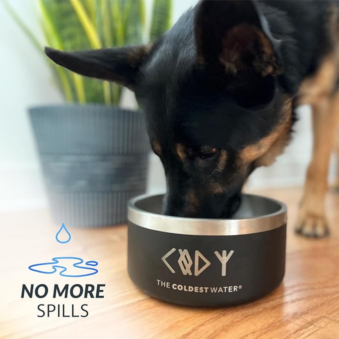 Coldest Dog Bowl - Anti Rust Metal, Non Slip, 3 Layers Insulated Stainless Steel Dog Bowls - Spill Proof & Heavy Duty - Water Bowl for Dogs, Cats & Pets, Dish Washer Safe (21 oz, Into The Beyond)