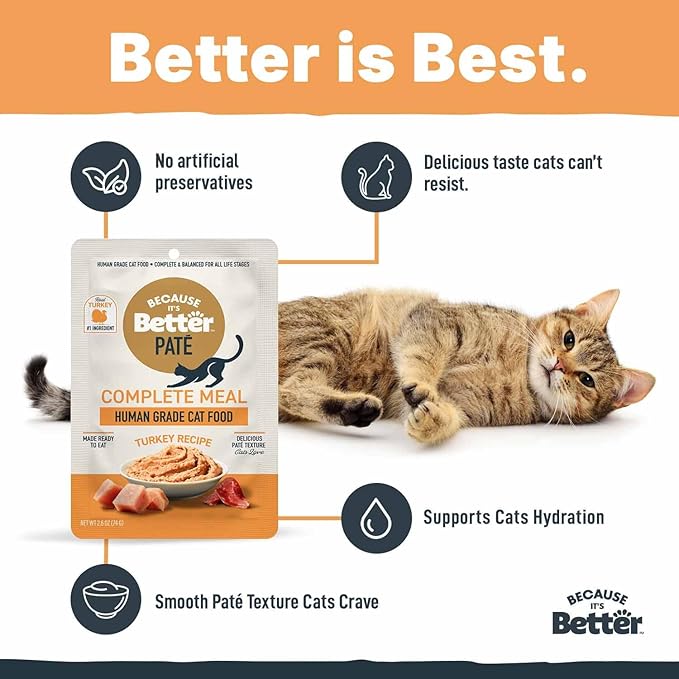Because It's Better Pate Complete Meal, Turkey Recipe, 2.6 oz Pouches, Wet Cat Food, 12 Count