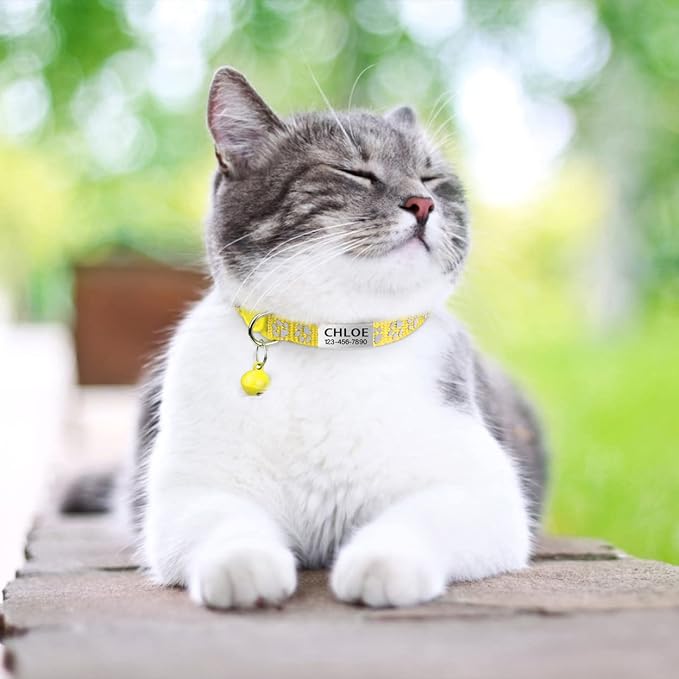TagME 2 Pack Cat Collar with Name Tag, Personalized Reflective Cat Collar Breakaway with Bell for Boy & Girl Cats, Yellow