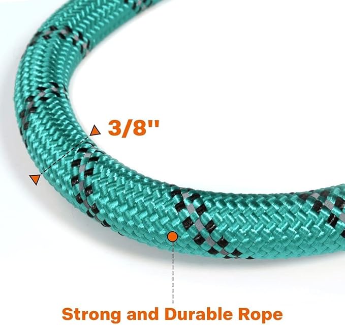 Taglory Rope Dog Leash 5 FT with Comfortable Padded Handle, Highly Reflective Threads Leash and Anti-Tangle Clip for Walking Small Dogs, 3/8 inch, Turquoise