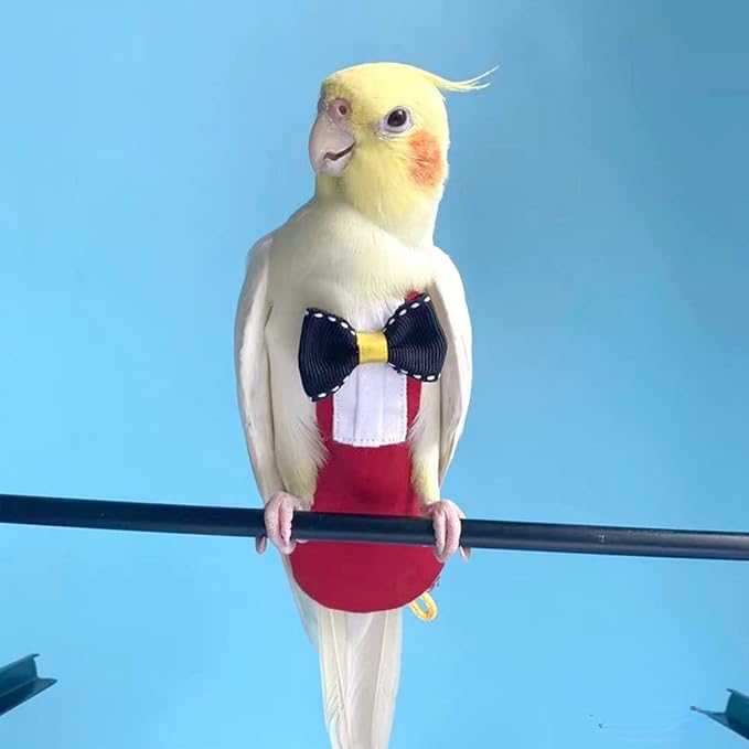 Bird Diaper Harness Flight Suit Clothes with Flying Leash for Parrots Cockatiel Pet Birds, Parrot Clothes, Bird Training Nappy Suit Liners Clothes (M, Red)
