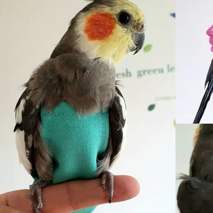 Bird Diaper Harness Flight Suit Clothes, Parrot Flight Suit with Leash for Parrot, Bird Flying Clothes for Outdoor Activities Training (Without Leash,M)