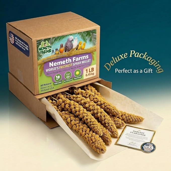 USA Grown Spray Millet for Birds – Midwest Harvest, 2 lbs Premium 100% Natural, Sun-Dried Non-GMO Whole Millet Sprays, Bird Treat for Parakeets, Budgies, Cockatiels, Conures, Lovebirds & Finches