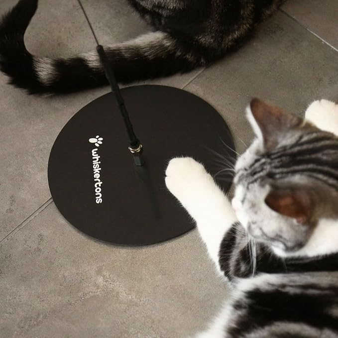 Whiskertons Interactive Bird Simulation Cat Toy Set, Interactive Cat Toys for Indoor Cats, Cat Feather Toy, Self-Holding Suction Base, 5 Replacement Birds, Feathers & Bells (Weighted Base + Wire)