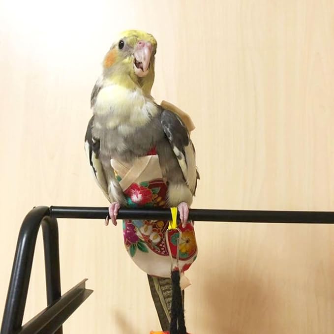 Bird Flight Suits Diapers, Parrot Flight Suits Diapers for Quaker Parakeets Cockatiels Flight Suits, Parrot Clothes (Red,XL)