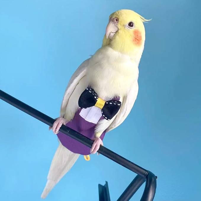 Bird Diaper Harness Flight Suit Clothes with Flying Leash for Parrots Cockatiel Pet Birds, Parrot Clothes, Bird Training Nappy Suit Liners Clothes (S, Purple)