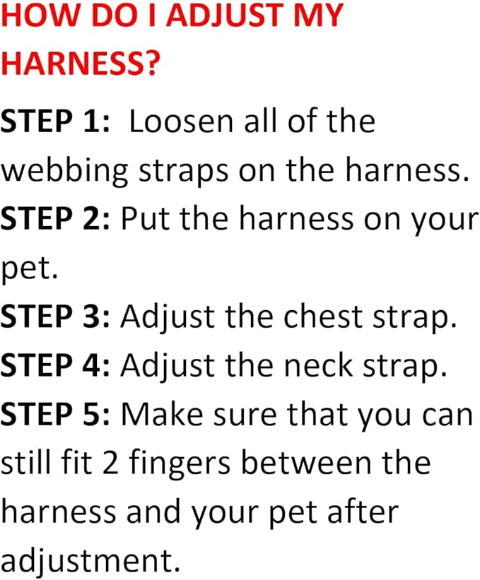 Voyager Step-in Air Dog Harness - All Weather Mesh, Reflective, No Pull Harness for Small, Medium Dogs, Cats - Secure with Hook & Loop Fastener, Buckle, Double D-Rings - Turquoise 2-Tone, XS
