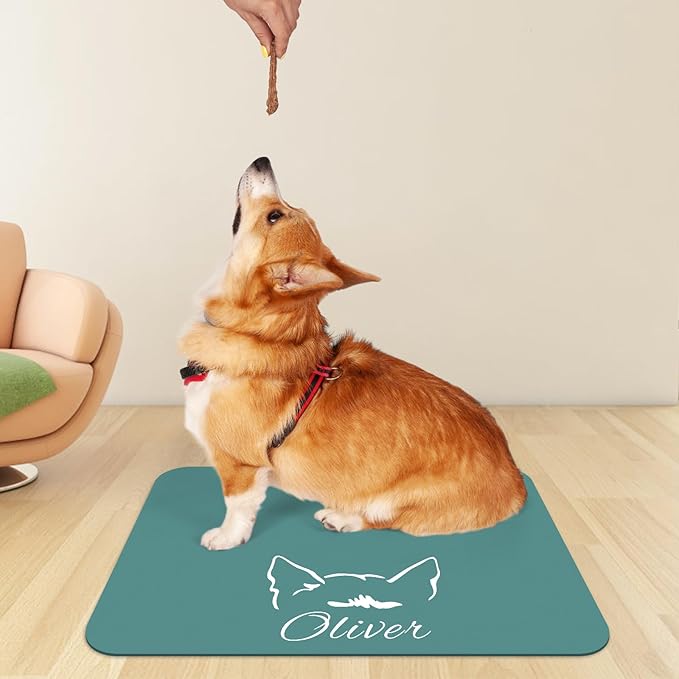 Personalized Dog Food Mats for Floors Custom Pet Placemat Mats for Food and Water Waterproof Customized Pet Food Mat with Name Gifts for Dog & Cat Owners Design 2