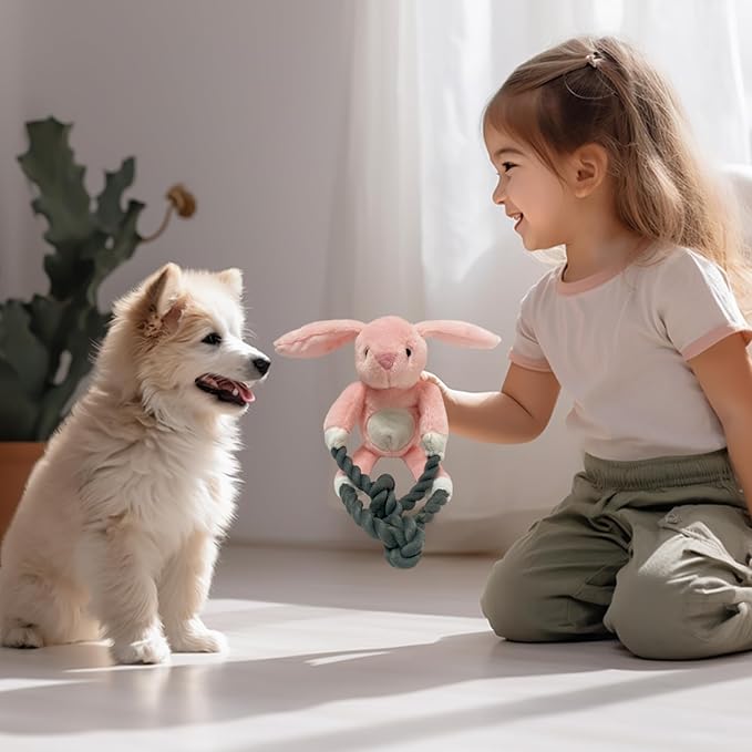 Plush Squeaky Dog Toys - Durable Cute Animals Toy for Indoor Play with Small, Medium and Large Dogs (Rabbit), pink