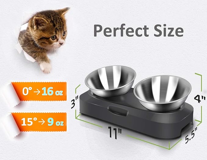 AYADA Raised Cat Food Bowl, Stainless Steel Cat Dish for Dry Wet Food Water, Anti Vomiting Elevated with Stand Ergonomic Lifted Slanted Tilted 15 Angle Metal Single Kitty Kitten Pet Bowl (Double)