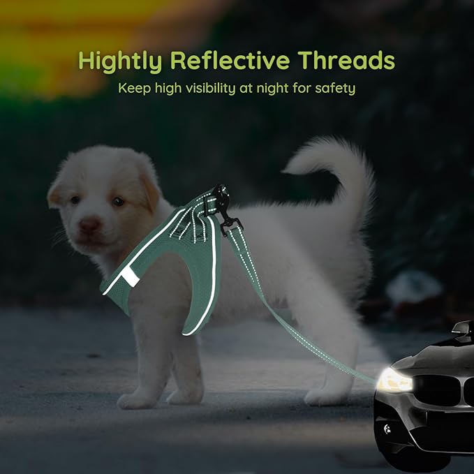 BELLA & PAL Step in Vest Harness for Small and Medium Dogs, No Pull Small Dog Harness with Leash Set, Comfortable Air Mesh Dog Vest Harness with Reflective Strip (Light Green, XS)