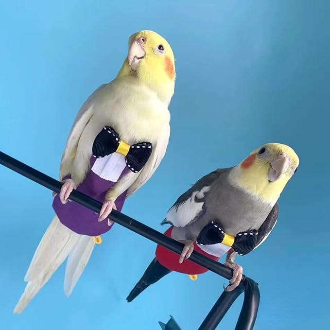 Bird Diaper Harness Flight Suit Clothes with Flying Leash for Parrots Cockatiel Pet Birds, Parrot Clothes, Bird Training Nappy Suit Liners Clothes (L, Red)
