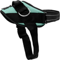 ShawnCo Essential Dog Harness, No-Pull Pet Vest with 3 Leash Clips, No Choke, Reflective, Adjustable and Padded, for Easy Walking and Training for Small, Medium and Large Dogs (Seafoam, XS)