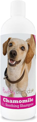 Healthy Breeds Chiweenie Chamomile Soothing Dog Shampoo 8 oz