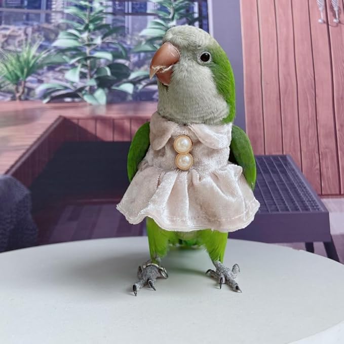Bird Costume Bird Diaper Flight Suit Parrot Velvet Fleece Skirt Clothes Cosplay Photo Prop for Conure Lovebird Parakeet Cockatiel Macaw Small Animals Apparel (Pink,X-Large)