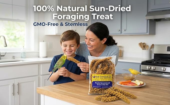 9 oz Spray Millet for Birds – GMO-Free, No Stems (Only Edible Tops) – 100% Natural Sun-Dried Foraging Treat for Cockatiels, Lovebirds, Parakeets, Finches & Canaries