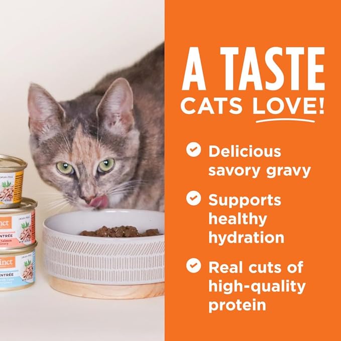 Instinct Flaked Entrée Wet Canned Cat Food - Chicken, 3 Ounce (Pack of 24)