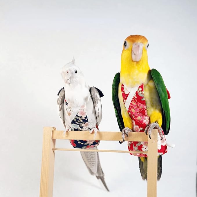 Bird Flight Suits Diapers, Parrot Flight Suits Diapers for Monk Parakeets, Cockatiels Flight Suits, Parrot Clothes, Bird Training Nappy Suit Liners Clothes (Large,Red-B)