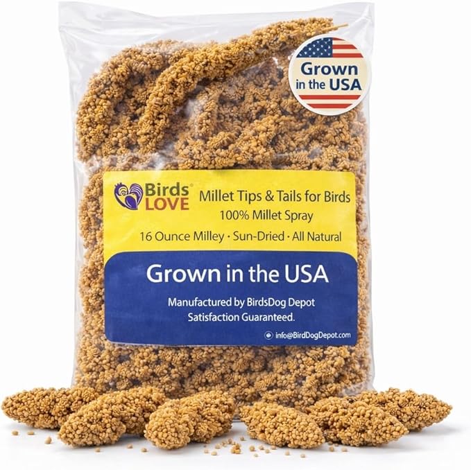 1lb Millet Tips & Tails for Birds - Parakeets, Cockatiels, Lovebirds, Finches, Budgies, Canaries, Cockatoos - Natural & Healthy Millet for Birds - Parakeet Food & Treats for All Parrots (2 Pack)