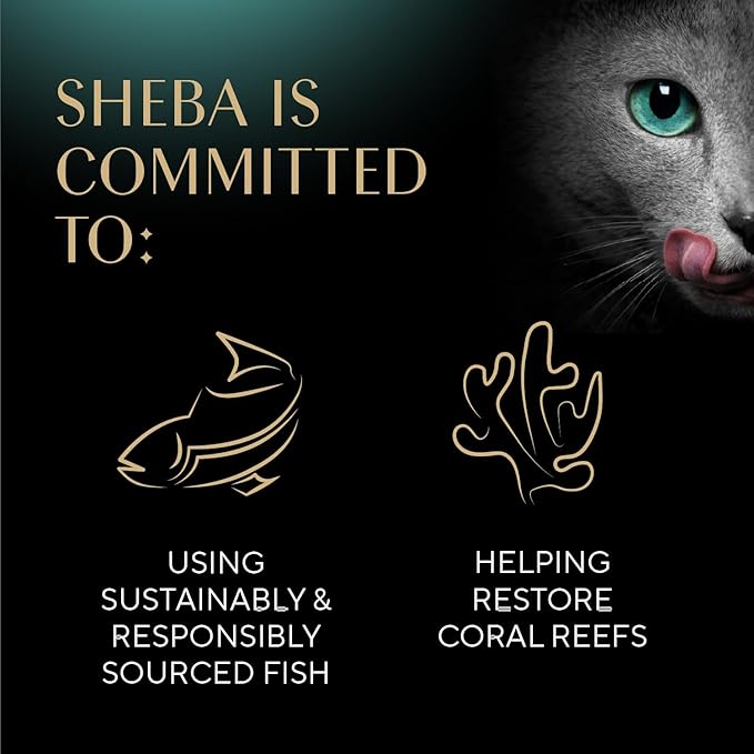 Sheba Selections Filets in Broth, Adult Cat Food Wet Recipe, Meal Complement, Wet Cat Food Variety Pack, Chicken & Tuna, or Chicken & Shrimp Recipe, 1.3 oz. Cups, 24 Count (Pack of 2)