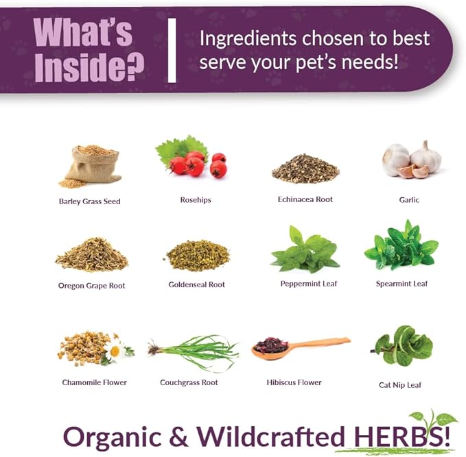 Amber NaturalZ Kitty-DT Digestive Rescue Herbal Supplement for Cats | Supports Normal Digestive Function and Occasional Gastric Upsets | Natural Aid for Gastrointestinal Health 1 Fluid Ounce